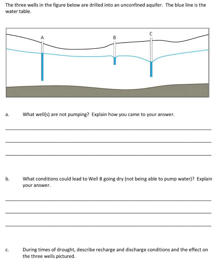 Solved Examine The Figure Below And Correctly Label The Chegg