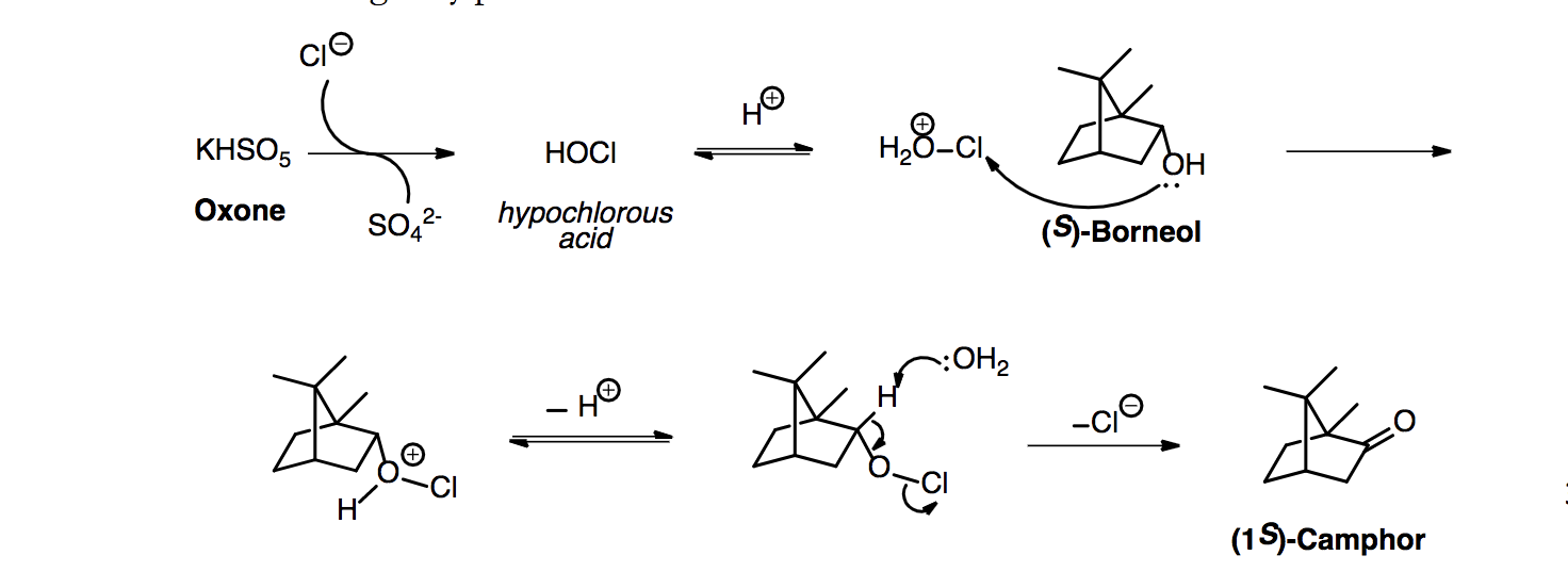 This Experiment Is The Green Oxidation Of S Borneol Chegg