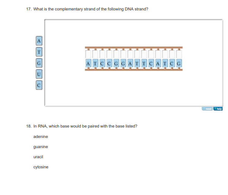 Solved What Is The Complementary Strand Of The Following Chegg