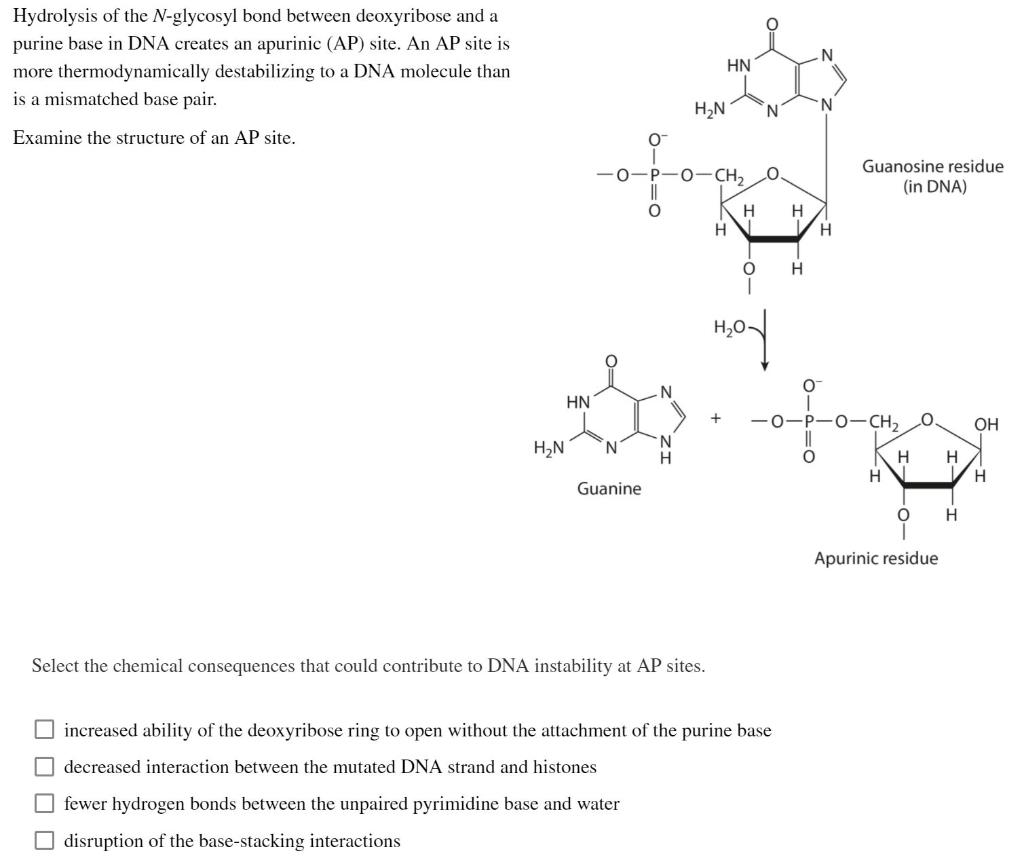 Solved Hydrolysis Of The N Glycosyl Bond Between Deoxyribose Chegg