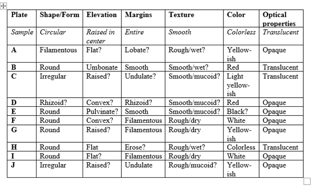 Solved Describe The Morphology Of The Colonies On The Plates Chegg