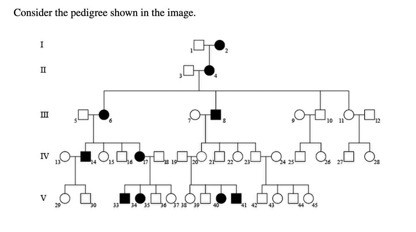 Solved Consider The Pedigree Shown In The Image I 2 II III Chegg