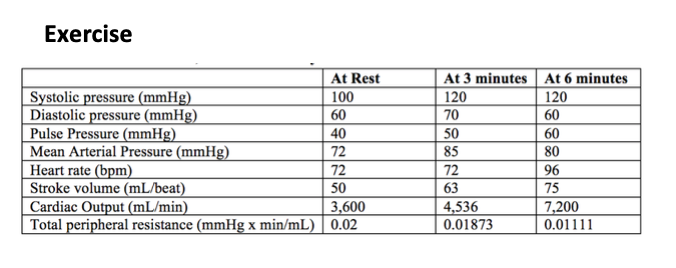 Solved Describe The Changes You Observed In Systolic Chegg