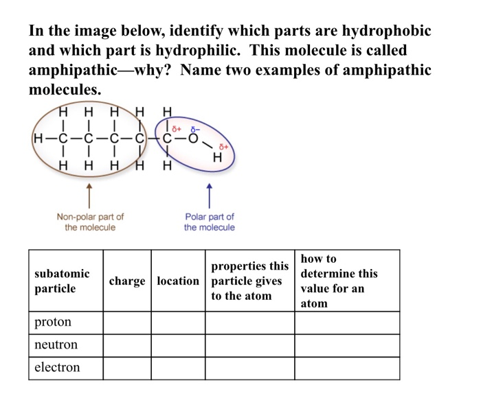 Solved In The Image Below Identify Which Parts Are Chegg