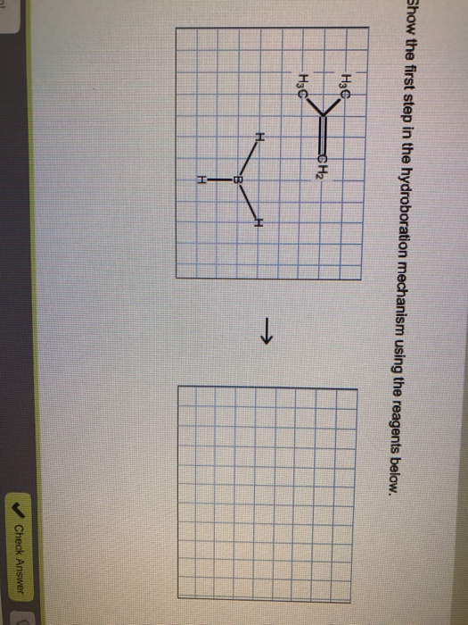 Solved Show The First Step In The Hydroboration Mechanism Chegg