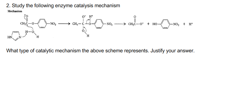 Solved Study The Following Enzyme Catalysis Mechanism Chegg