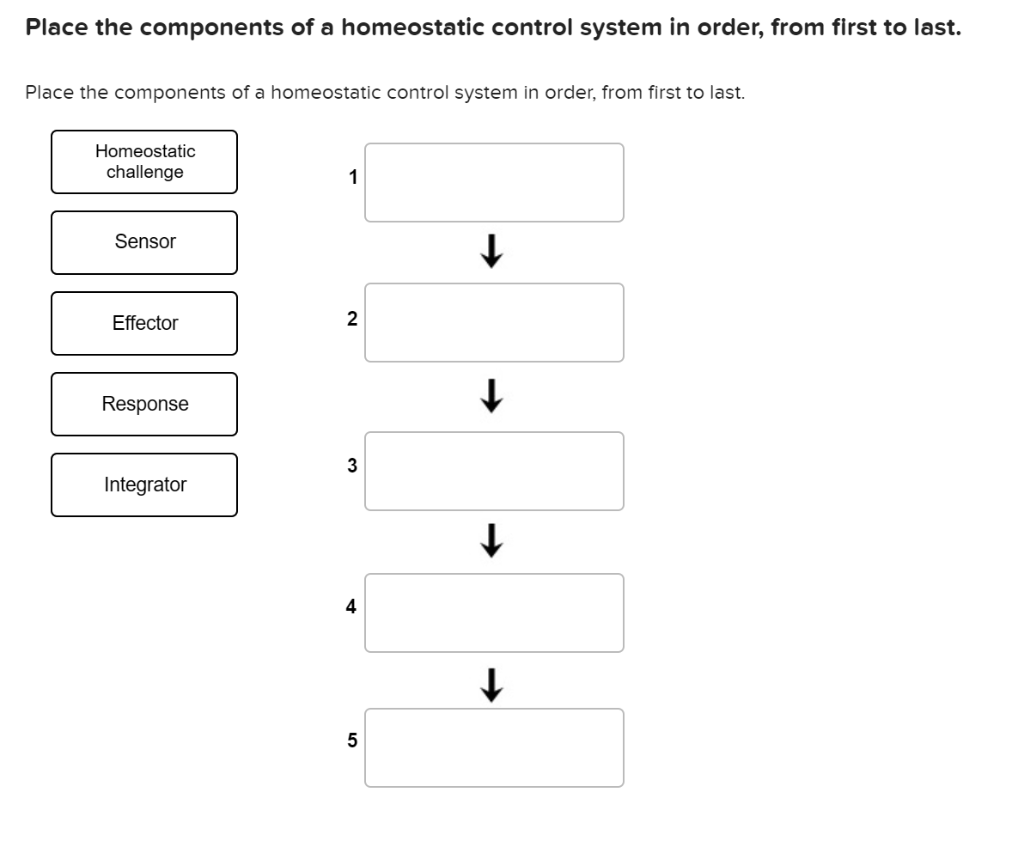 Solved Place The Components Of A Homeostatic Control System Chegg