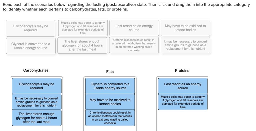 Solved Classify The Given Terms Or Examples With The Chegg