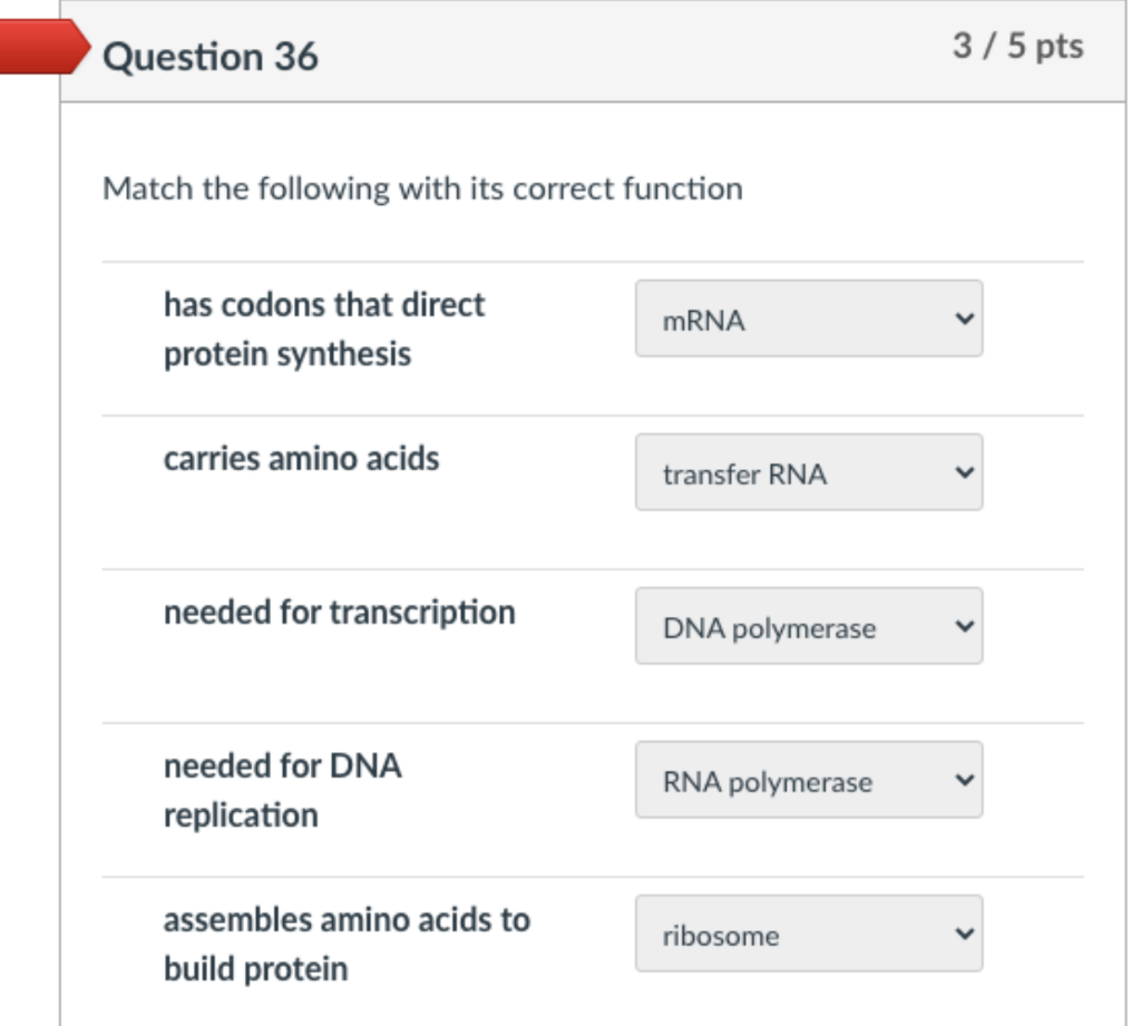 Solved Match The Following With Its Correct Function Ha