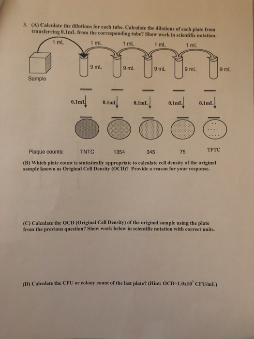 Solved 1 Calculate The Serial Dilutions Using The Following Chegg