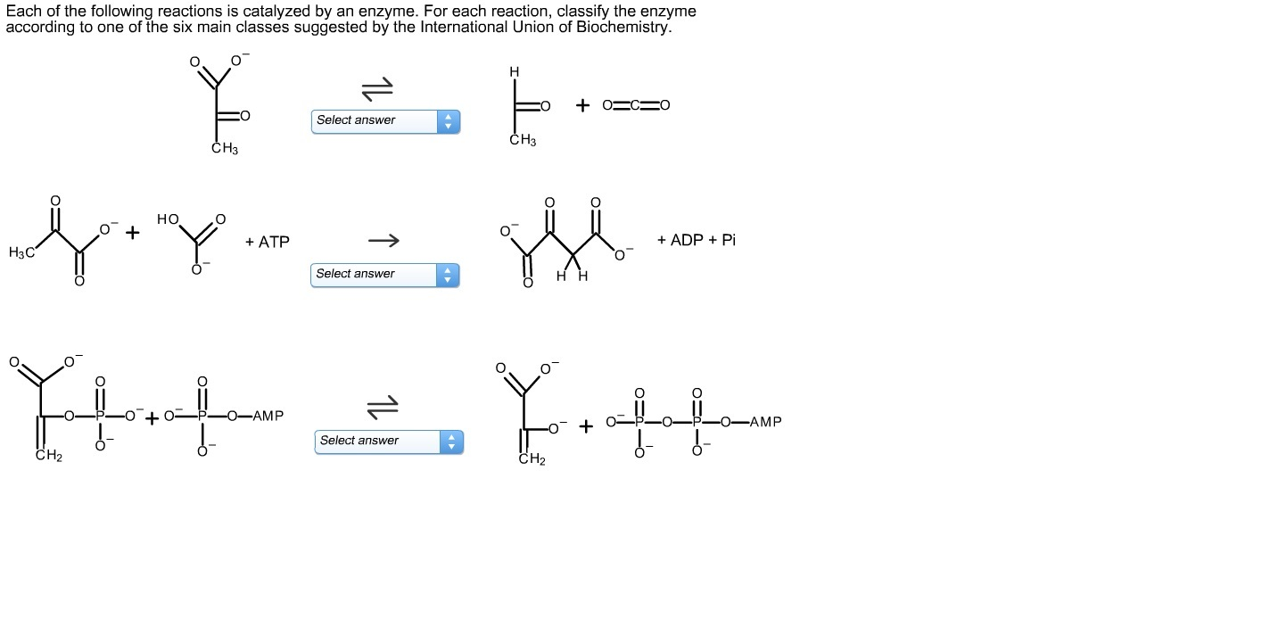 Biochemistry homework help