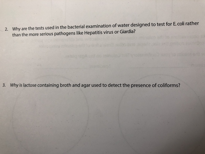 Solved Why Are The Tests Used In The Bacterial Examination Chegg