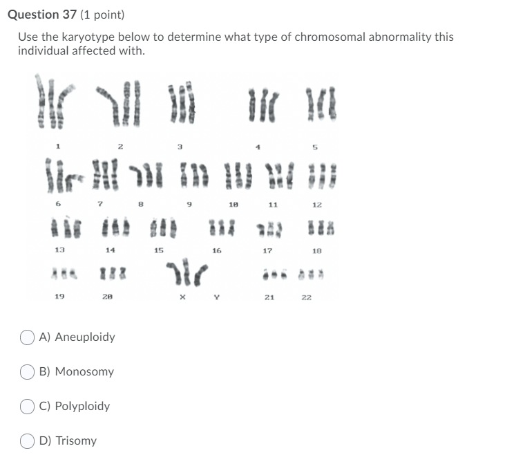 Solved Question Point Use The Karyotype Below To Chegg