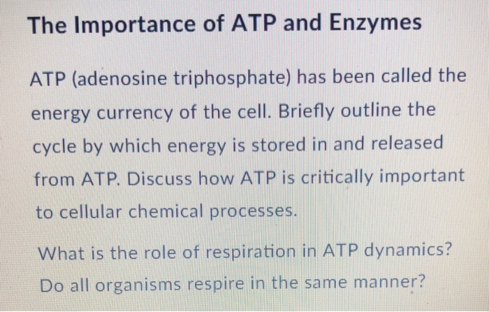 Solved The Importance Of Atp And Enzymes Atp Adenosine Chegg