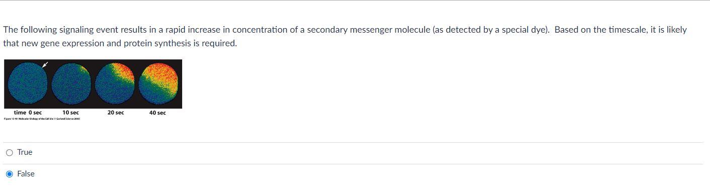 Solved The Following Signaling Event Results In A Rapid Chegg