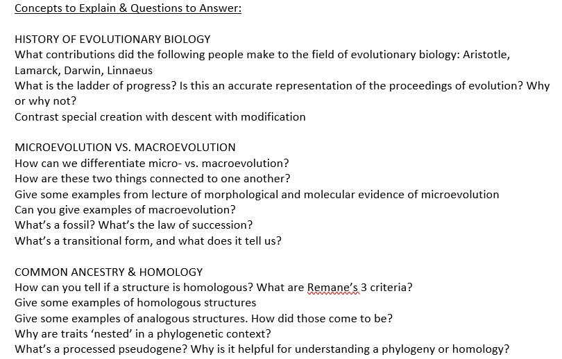 Concepts To Explain Questions To Answer History Of Chegg