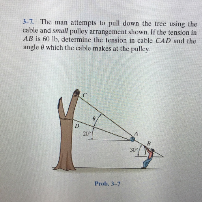 Solved The Man Attempts To Pull Down The Tree Using The Chegg