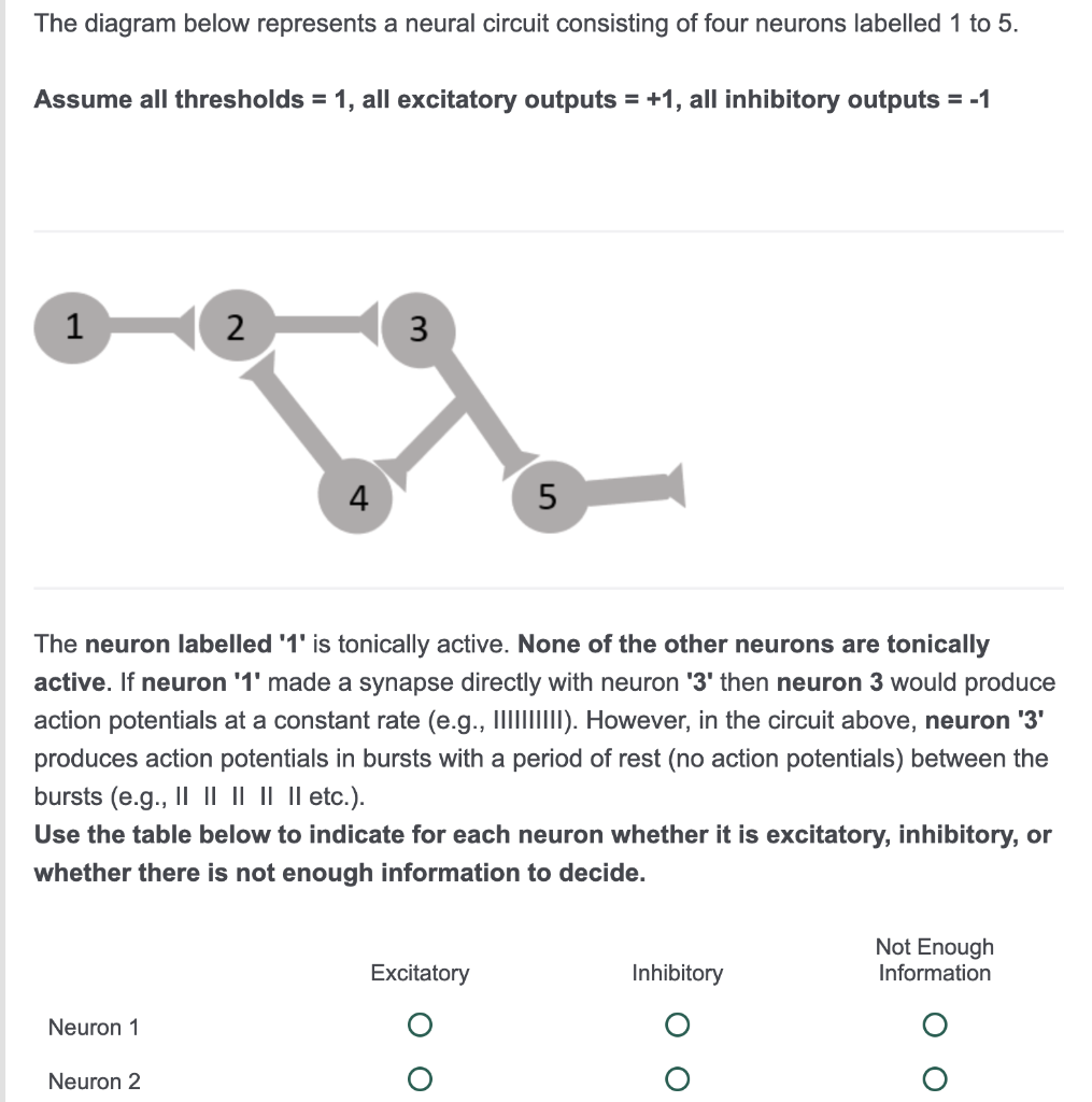 Solved The Diagram Below Represents A Neural Circuit Chegg