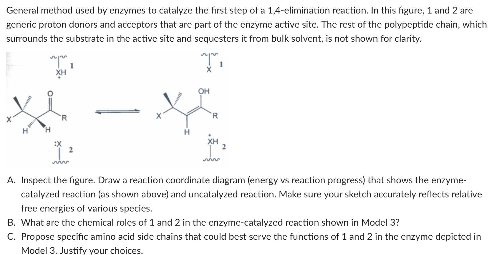 Solved General Method Used By Enzymes To Catalyze The First Chegg