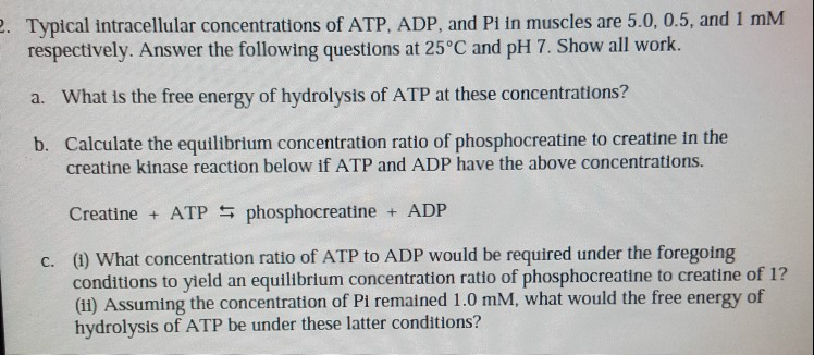 Solved Typical Intracellular Concentrations Of Atp Adp And Chegg