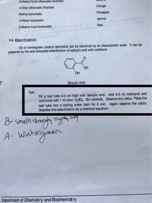 Solved Methyl Butyl Ethanoate Aetate N Octyl Ethanoate Chegg