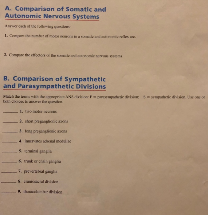 Somatic And Autonomic Nervous System Comparison