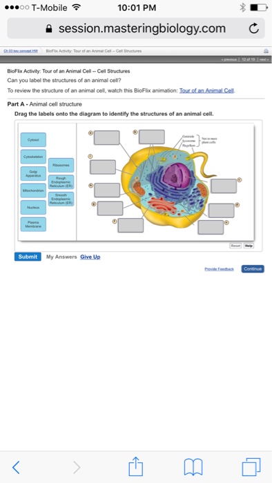 solved-oo-t-mobile-10-01-pm-a-session-masteringbiology-co-chegg