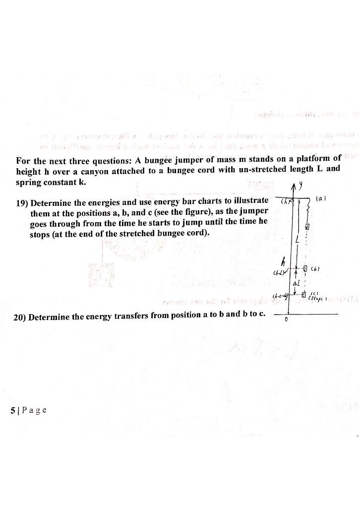 Solved For The Next Three Questions A Bungee Jumper Of Mass Chegg