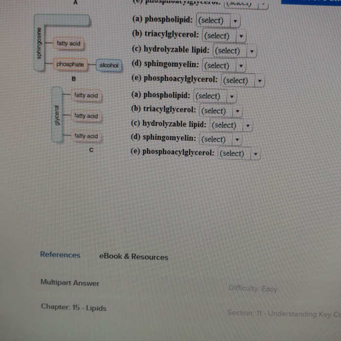 Value Points Out Of Attempts Block Diagrams Chegg