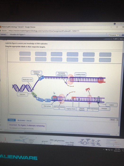 Used College Textbooks >> Solved: MasteringMicrobiolegy: Tutorial Google Chrome Secu ... Used College Textbooks >> Solved: MasteringMicrobiolegy: Tutorial Google Chrome Secu ...