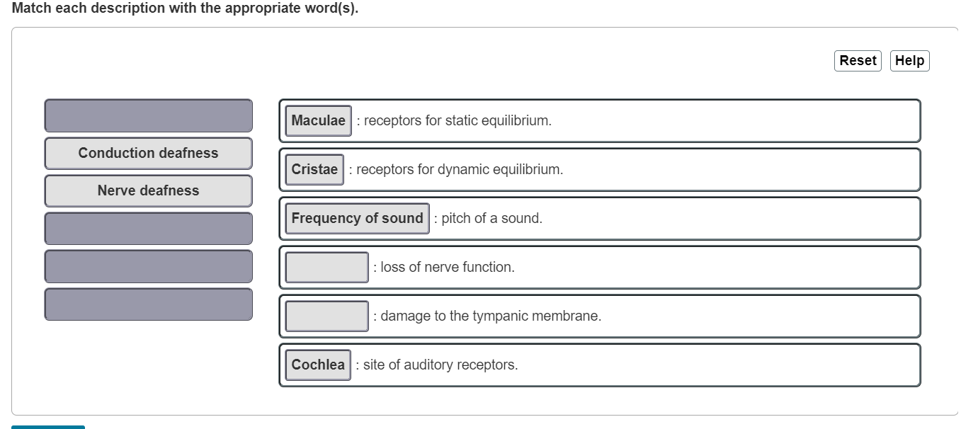 Solved Match Each Description With The Appropriate Chegg