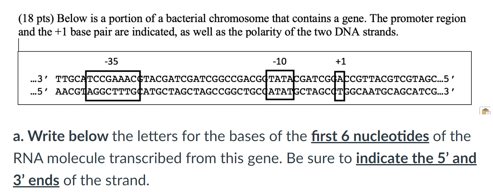 Solved Pts Below Is A Portion Of A Bacterial Chromosome Chegg