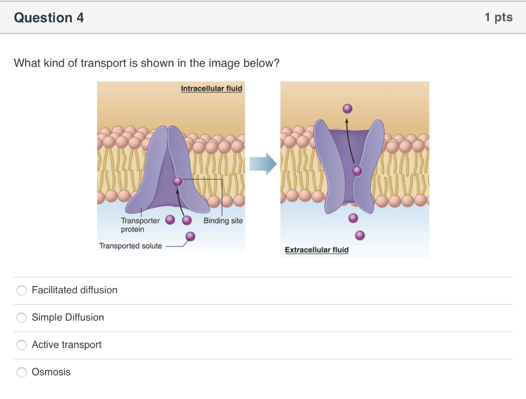 Solved Question 1 1 Pts Shown Below Is A Drawing Of A Plasma Chegg