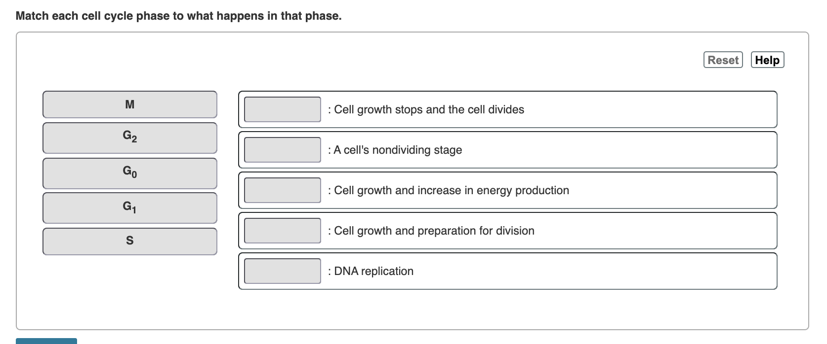 Solved Match Each Cell Cycle Phase To What Happens In That Chegg