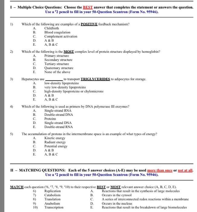 Multiple Choice Answers Examples