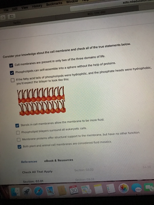 Solved Consider Your Knowledge About The Cell Membrane And Chegg