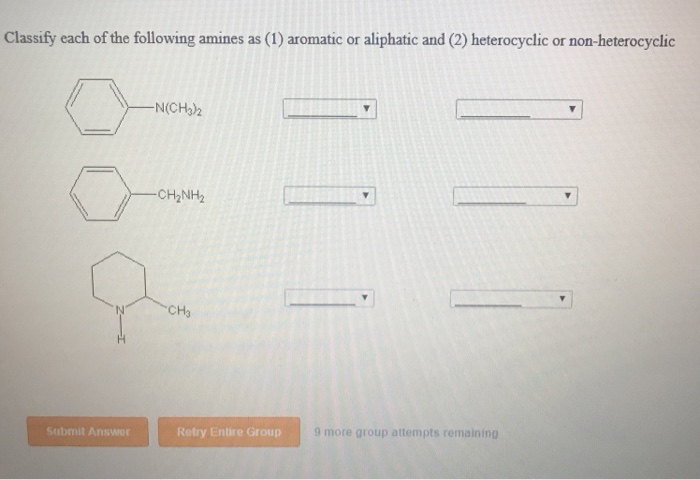 Solved Classify Each Of The Following Amines As Aromatic Chegg