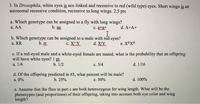 Solved 3 In Drosophila White Eyes Is Sex Linked And Chegg