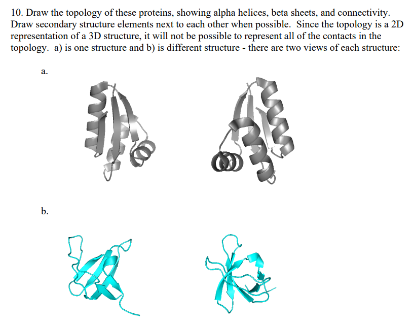 Solved 10 Draw The Topology Of These Proteins Showing Chegg