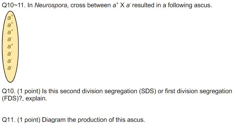 Solved Q10 11 In Neurospora Cross Between At X A Resulted Chegg