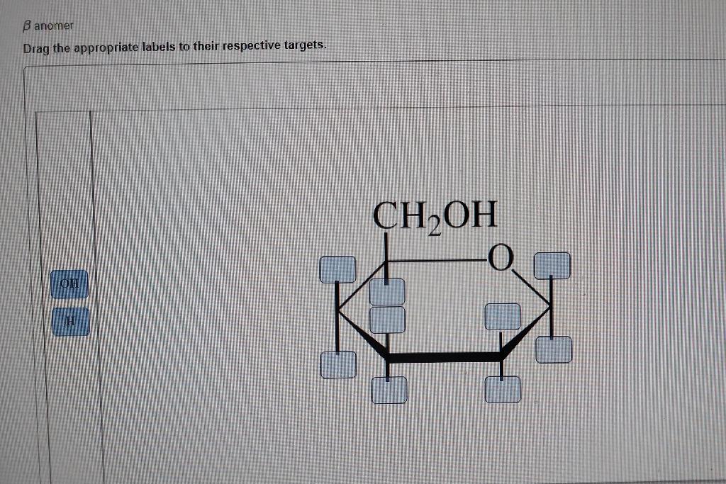 Solved Anomer Drag The Appropriate Labels To Their Chegg