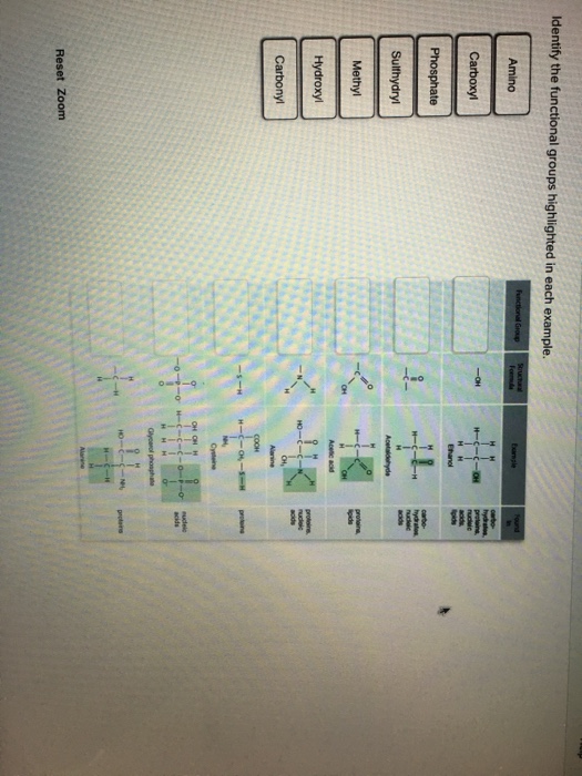 Question Identify The Functional Groups Highlighted In Each Example