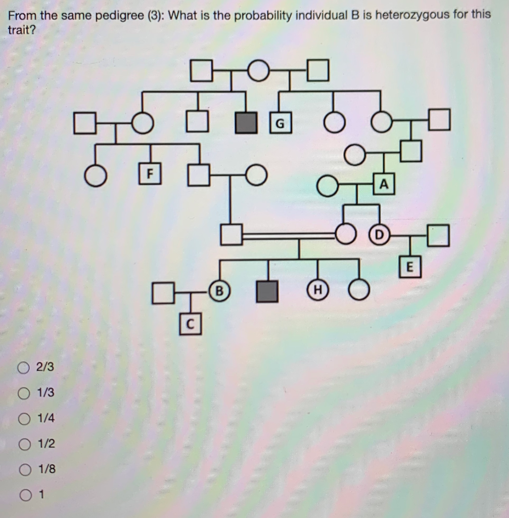 Solved From The Same Pedigree What Is The Probability Chegg