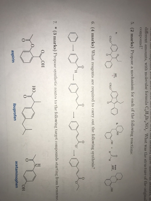 Solved Different Amounts With Molecular Formula CoH BrNO Chegg