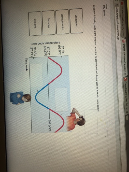 Solved Label The Following Parts Of The Diagram Depicting Chegg