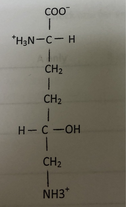 Solved Coo H N C H Ch Ch H C Oh Ch Nh Chegg