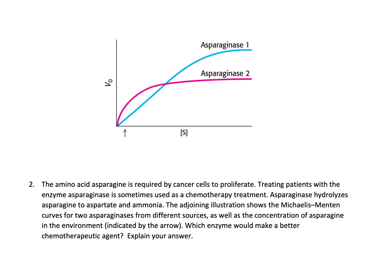 Solved The Amino Acid Asparagine Is Required By Cancer Cells Chegg