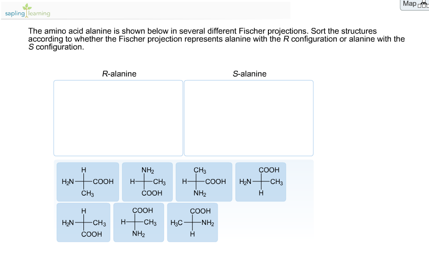 The Amino Acid Analine Is Shown Below In Several