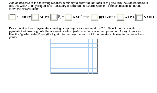pyruvate anomeric carbon pyruvate anomeric carbon