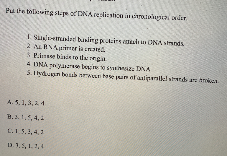 Solved Put The Following Steps Of Dna Replication In Chegg